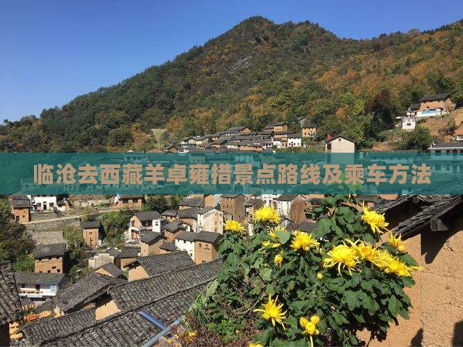 临沧去西藏羊卓雍措景点