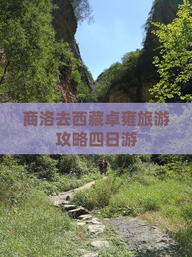 商洛去西藏羊卓雍措四日游