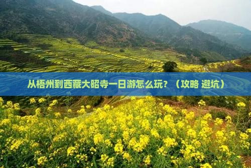 梧州去西藏大昭寺一日