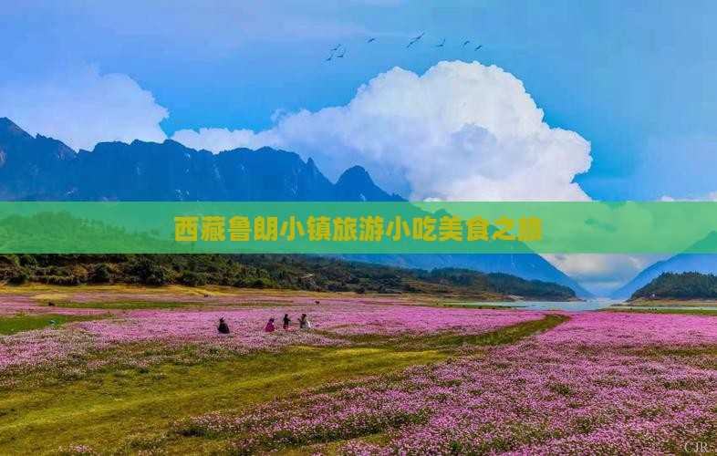 渭南到西藏鲁朗小镇旅游小吃