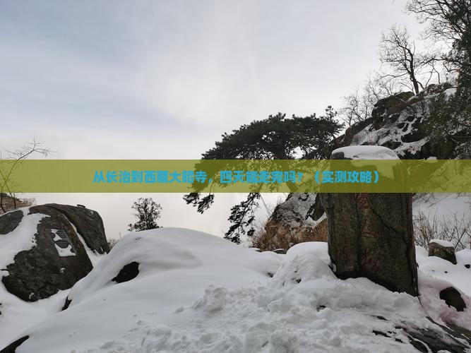 长治到西藏大昭寺四日游
