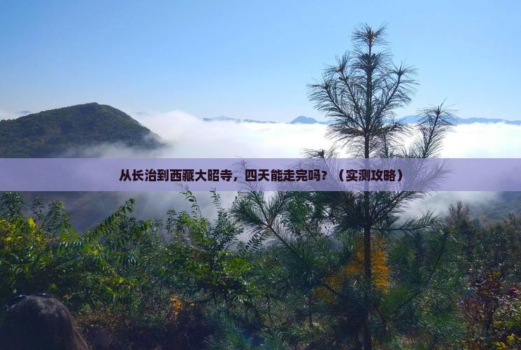 长治到西藏大昭寺四日游