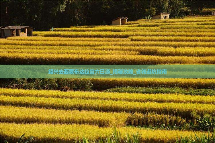 绍兴去西藏布达拉宫六日游