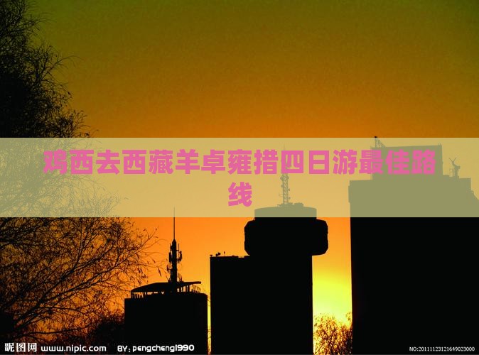 鸡西去西藏羊卓雍措四日游