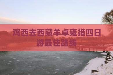 鸡西去西藏羊卓雍措四日游