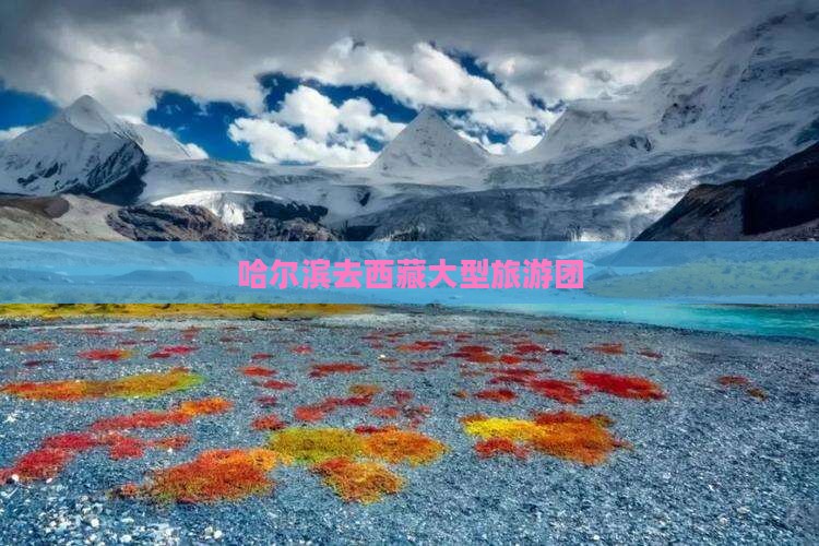 哈尔滨去西藏大型旅游团