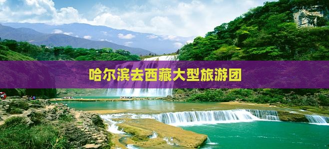 哈尔滨去西藏大型旅游团