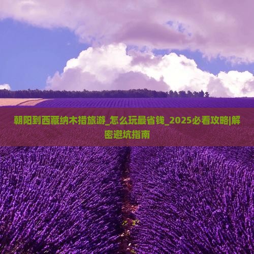 朝阳到西藏纳木措旅游