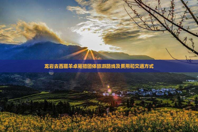 龙岩去西藏羊卓雍措团体旅游