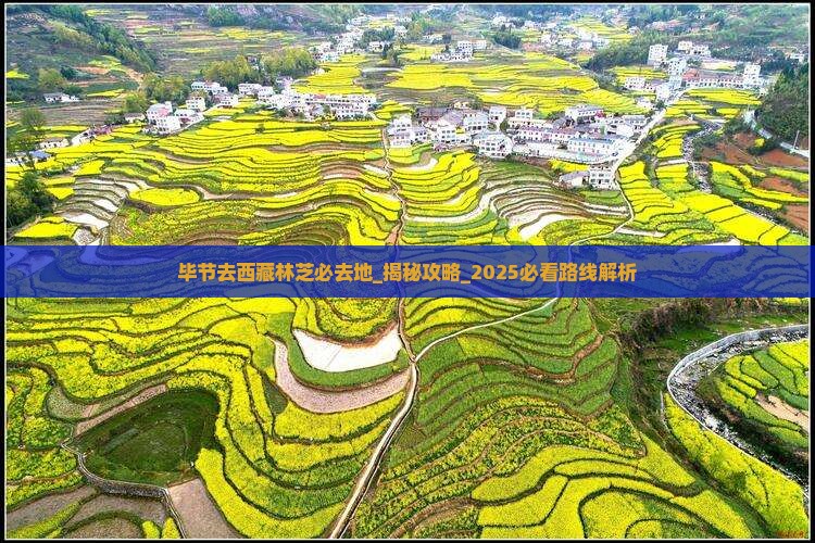 毕节去西藏林芝必去地