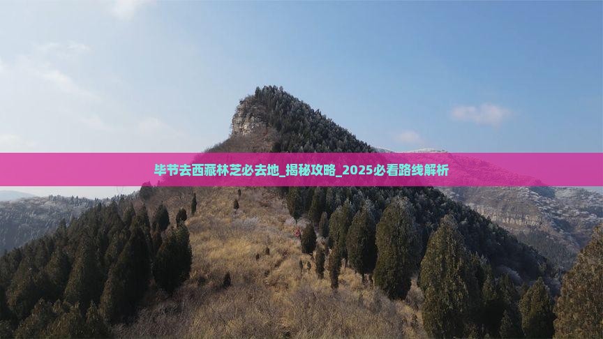 毕节去西藏林芝必去地