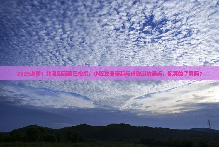 北海去西藏巴松措旅游小吃