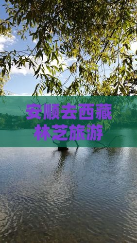 安顺去西藏林芝旅游