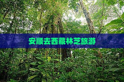 安顺去西藏林芝旅游