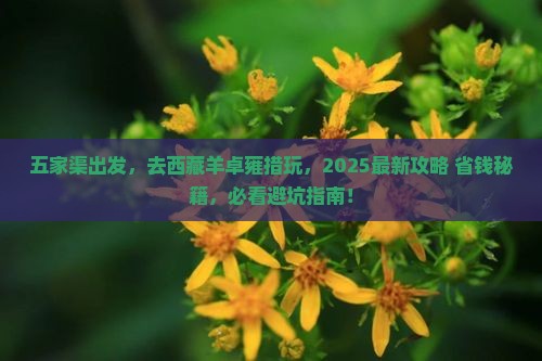五家渠到西藏羊卓雍措哪里玩