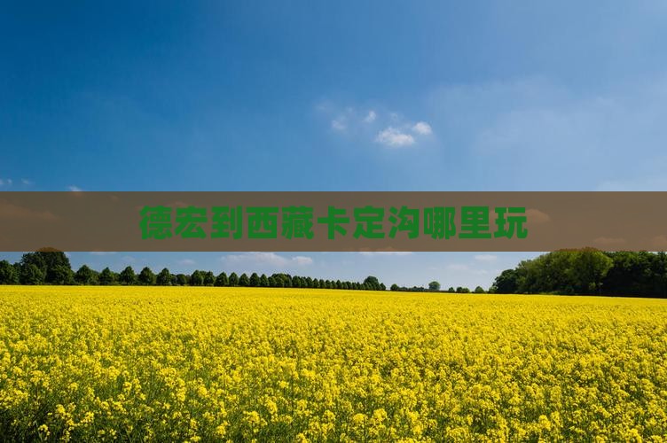 德宏到西藏卡定沟哪里玩