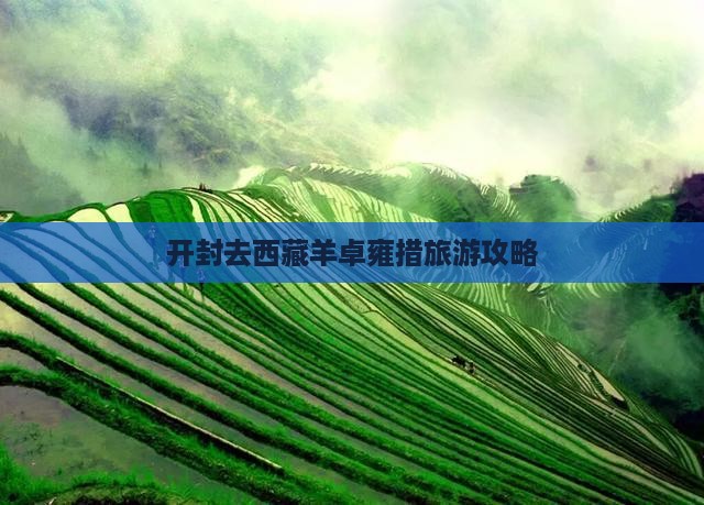 开封去西藏羊卓雍措景点