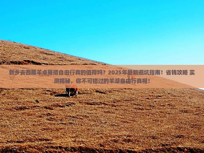 新乡去西藏羊卓雍措自由行