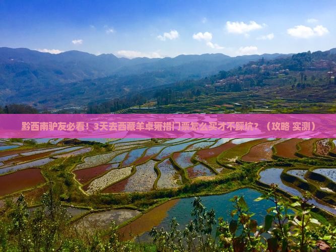 黔西南去西藏羊卓雍措门票