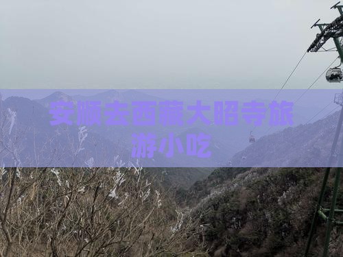安顺去西藏大昭寺旅游小吃