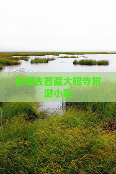 安顺去西藏大昭寺旅游小吃