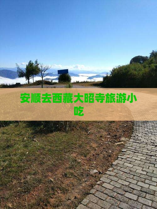 安顺去西藏大昭寺旅游小吃
