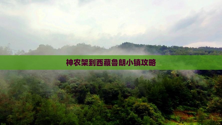 神农架到西藏鲁朗小镇攻略 神农架到西藏鲁朗小镇攻略