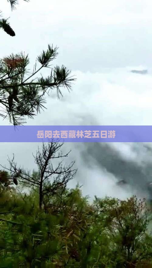 岳阳去西藏林芝五日游