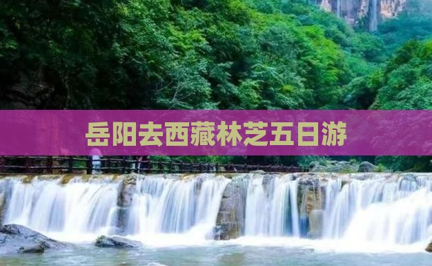 岳阳去西藏林芝五日游