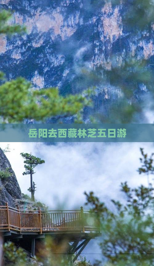 岳阳去西藏林芝五日游