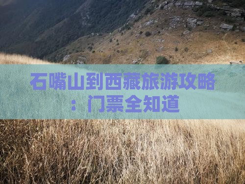 石嘴山到西藏门票