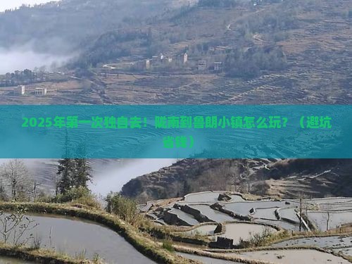 陇南到西藏鲁朗小镇个人游