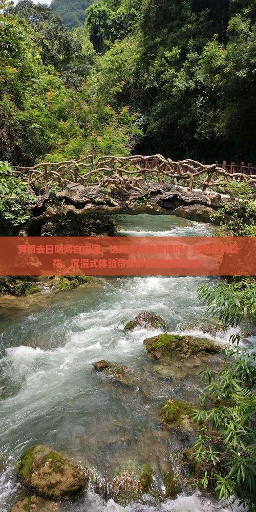 黄南去西藏日喀则自由团