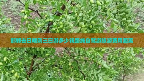 邯郸去西藏日喀则三日游