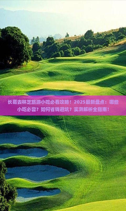长葛去西藏林芝旅游小吃