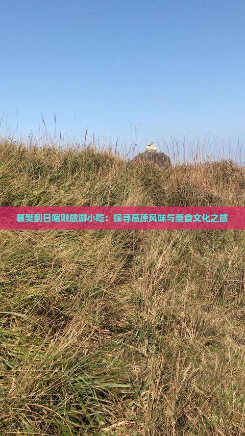 襄樊到西藏日喀则旅游小吃