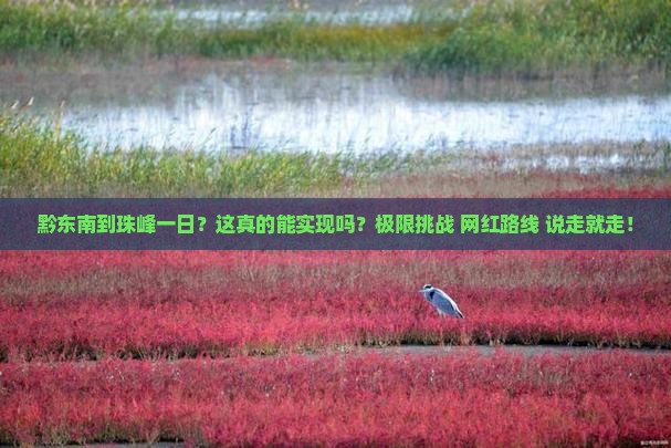 黔东南到西藏珠峰大本营一日
