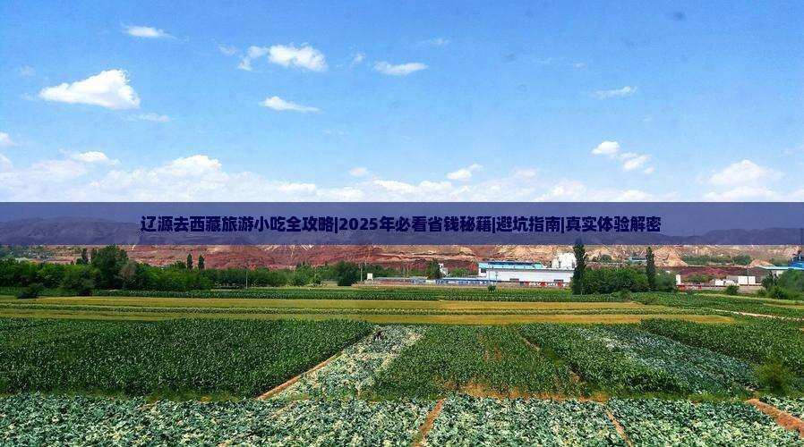 辽源去西藏旅游小吃