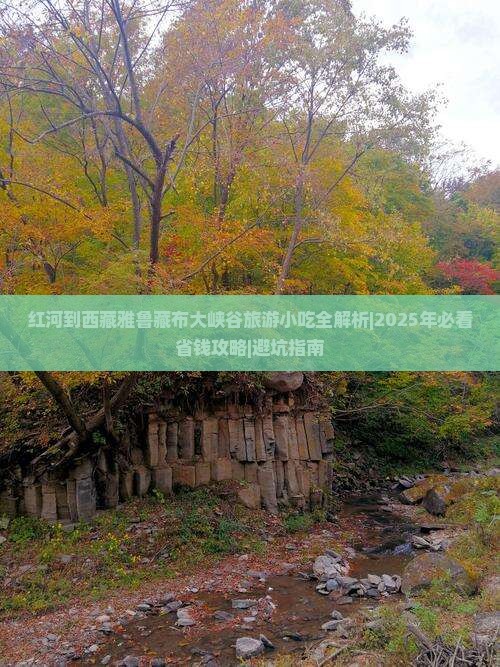 红河到西藏雅鲁藏布大峡谷旅游小吃