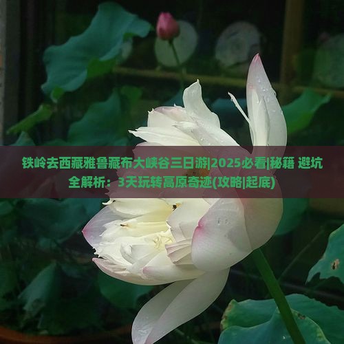 铁岭去西藏雅鲁藏布大峡谷三日游