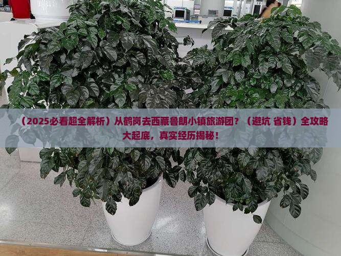 鹤岗到西藏鲁朗小镇大型旅游团