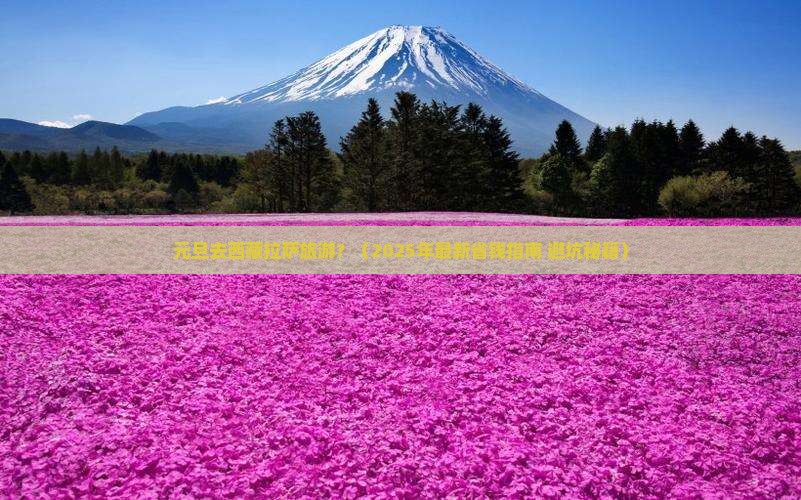 元旦去西藏拉萨旅游