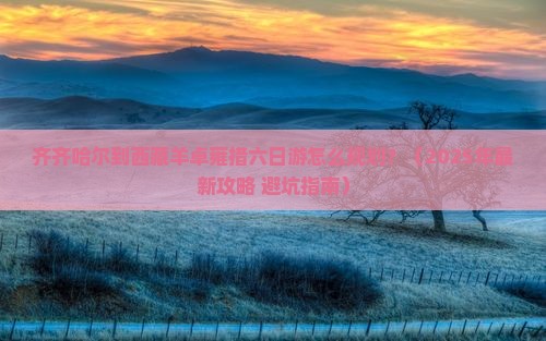 齐齐哈尔去西藏羊卓雍措六日游