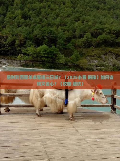 垦利去西藏羊卓雍措三日游