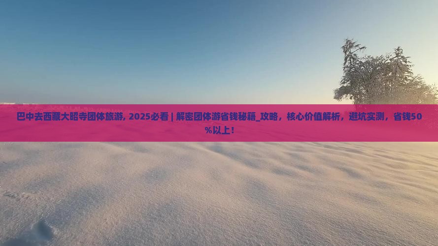 巴中去西藏大昭寺团体旅游
