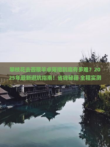 攀枝花去西藏羊卓雍措攻略