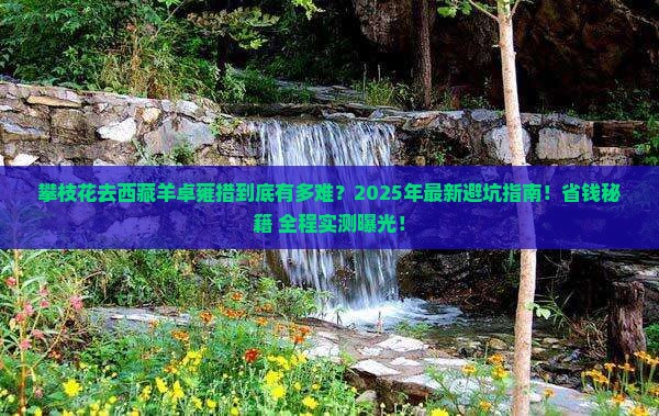 攀枝花去西藏羊卓雍措攻略