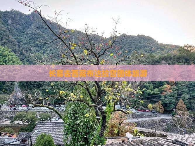 长葛去西藏布达拉宫团体旅游
