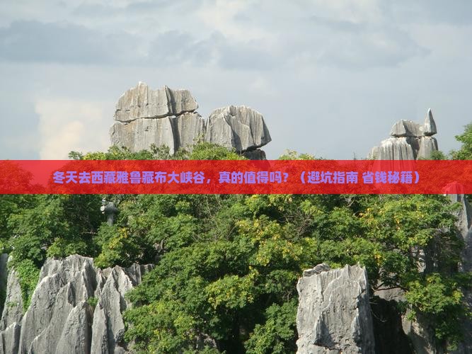 冬天到西藏雅鲁藏布大峡谷二日游