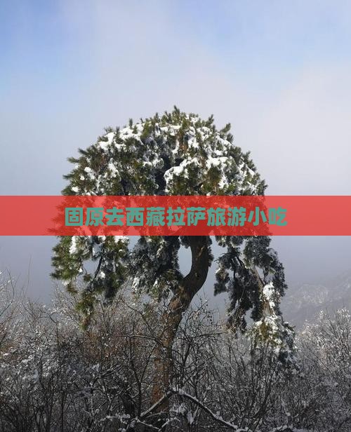 固原去西藏拉萨旅游小吃